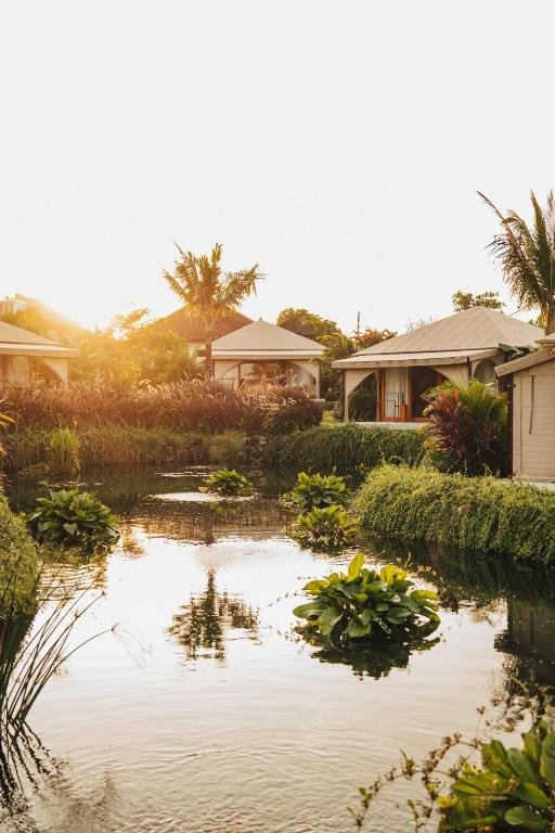 Tents around the lily pond in the evening light